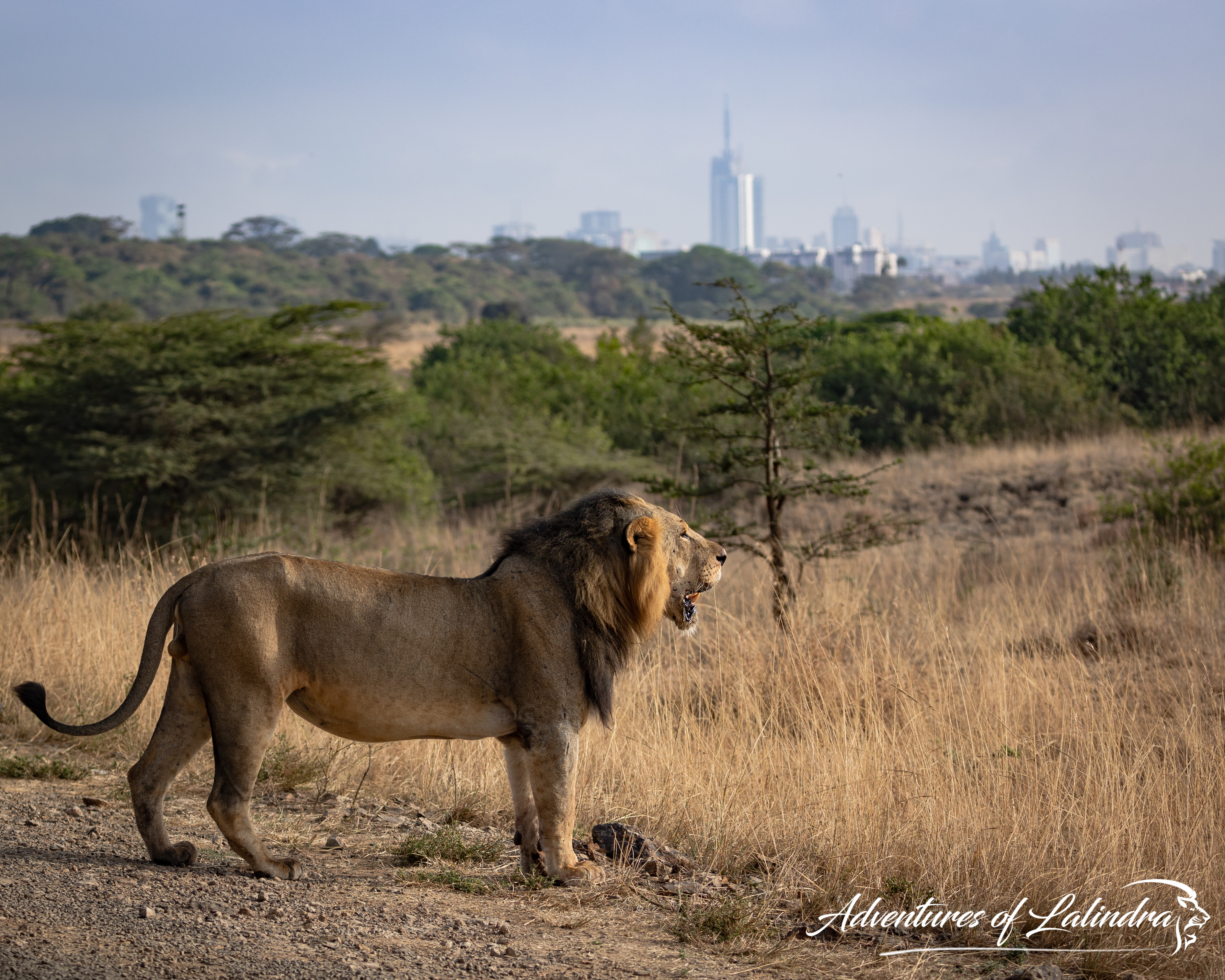 FIVE Things you need to know before traveling to Kenya